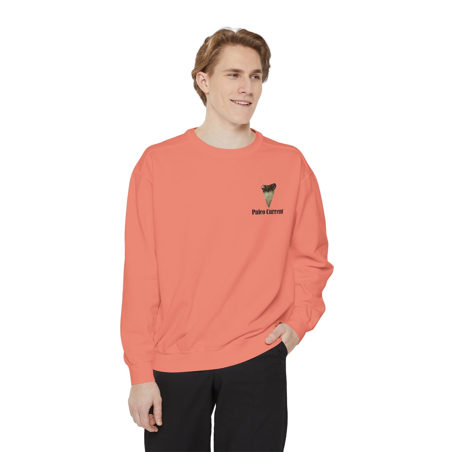 Georgia Comfort Colors Sweatshirt