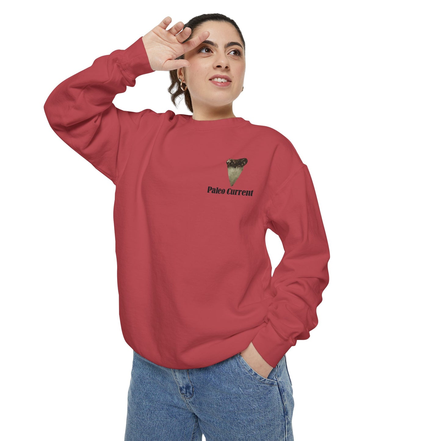 Georgia Comfort Colors Sweatshirt