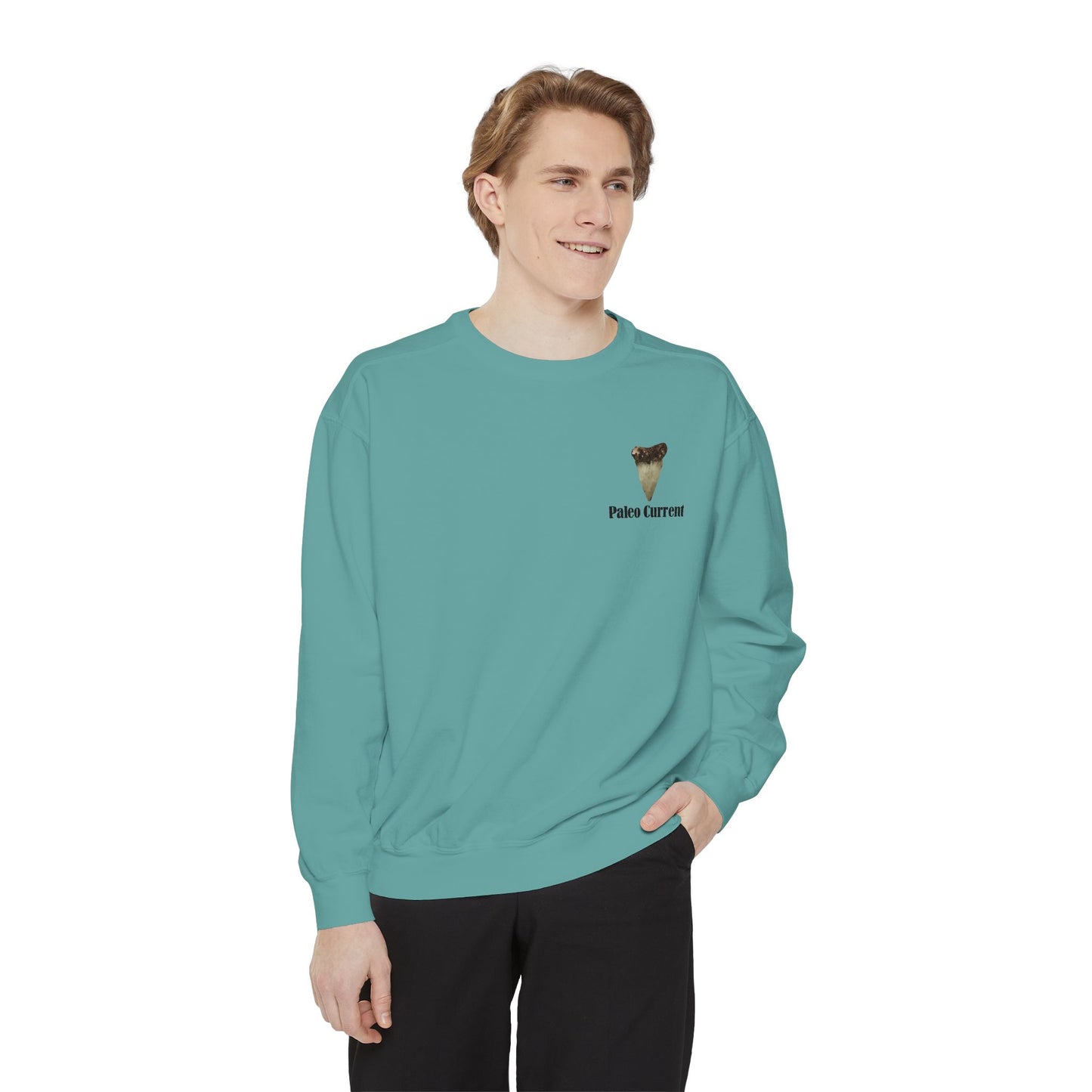 Georgia Comfort Colors Sweatshirt