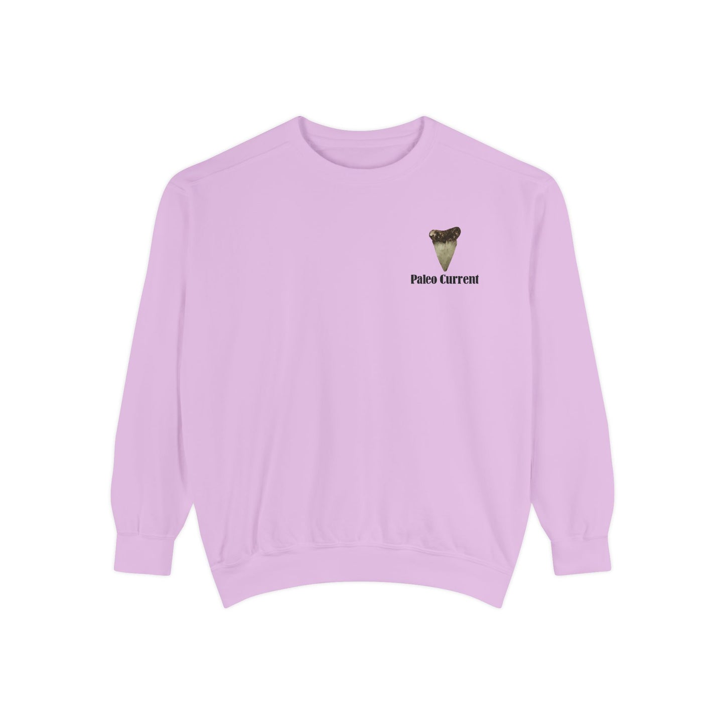 Georgia Comfort Colors Sweatshirt