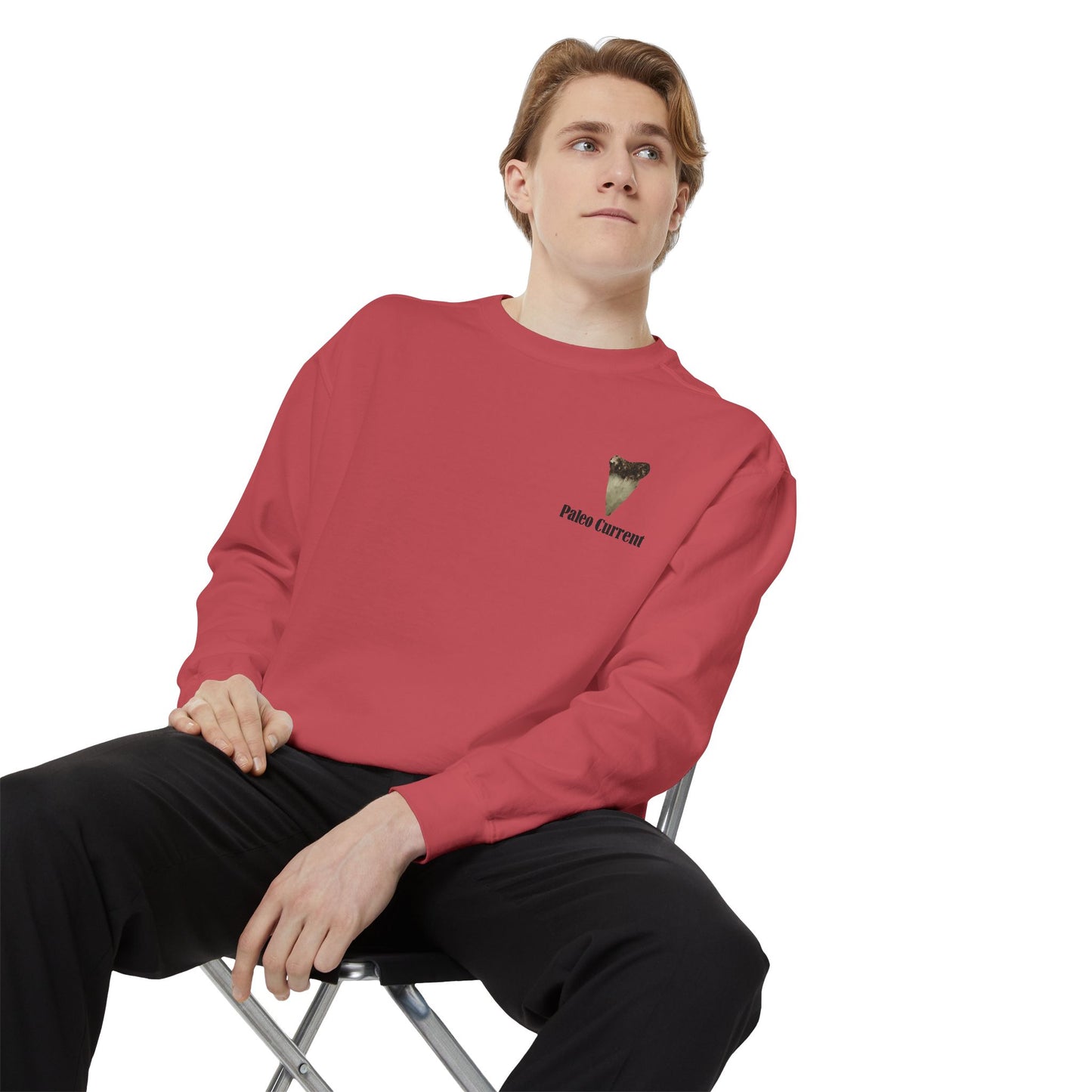 Georgia Comfort Colors Sweatshirt