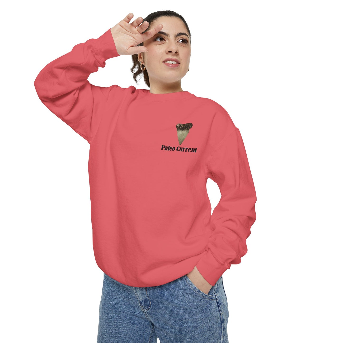 Georgia Comfort Colors Sweatshirt