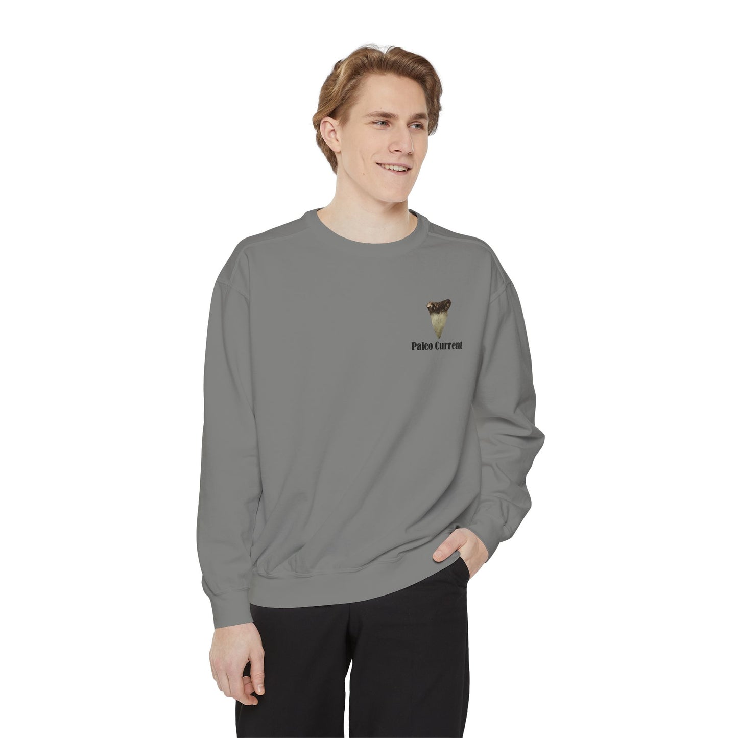 Georgia Comfort Colors Sweatshirt