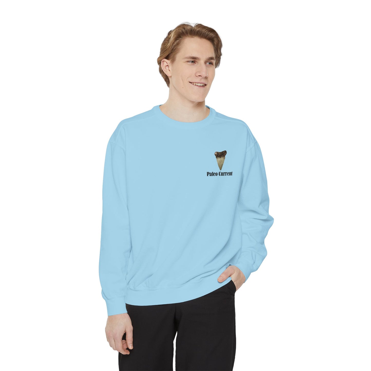 Georgia Comfort Colors Sweatshirt