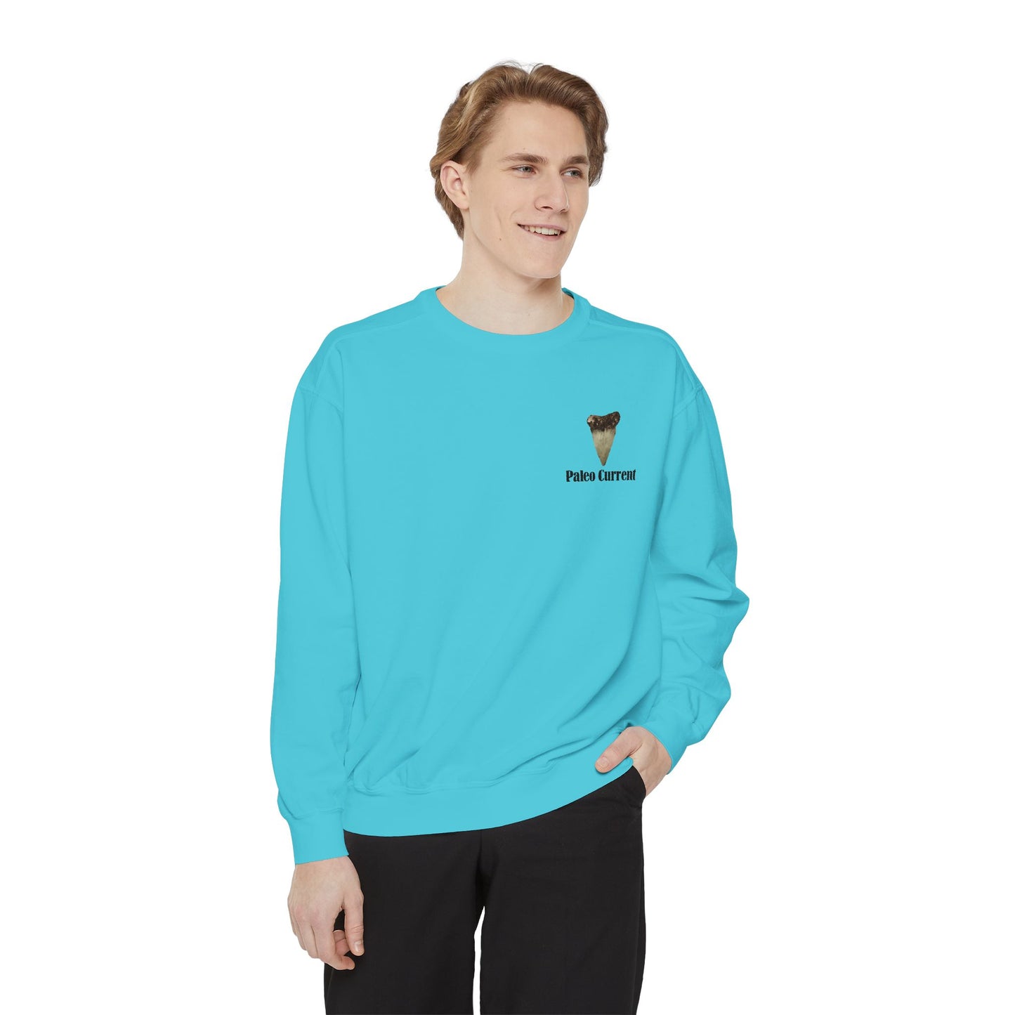 Georgia Comfort Colors Sweatshirt