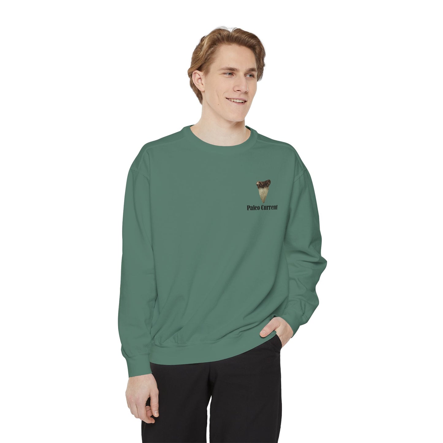 Georgia Comfort Colors Sweatshirt