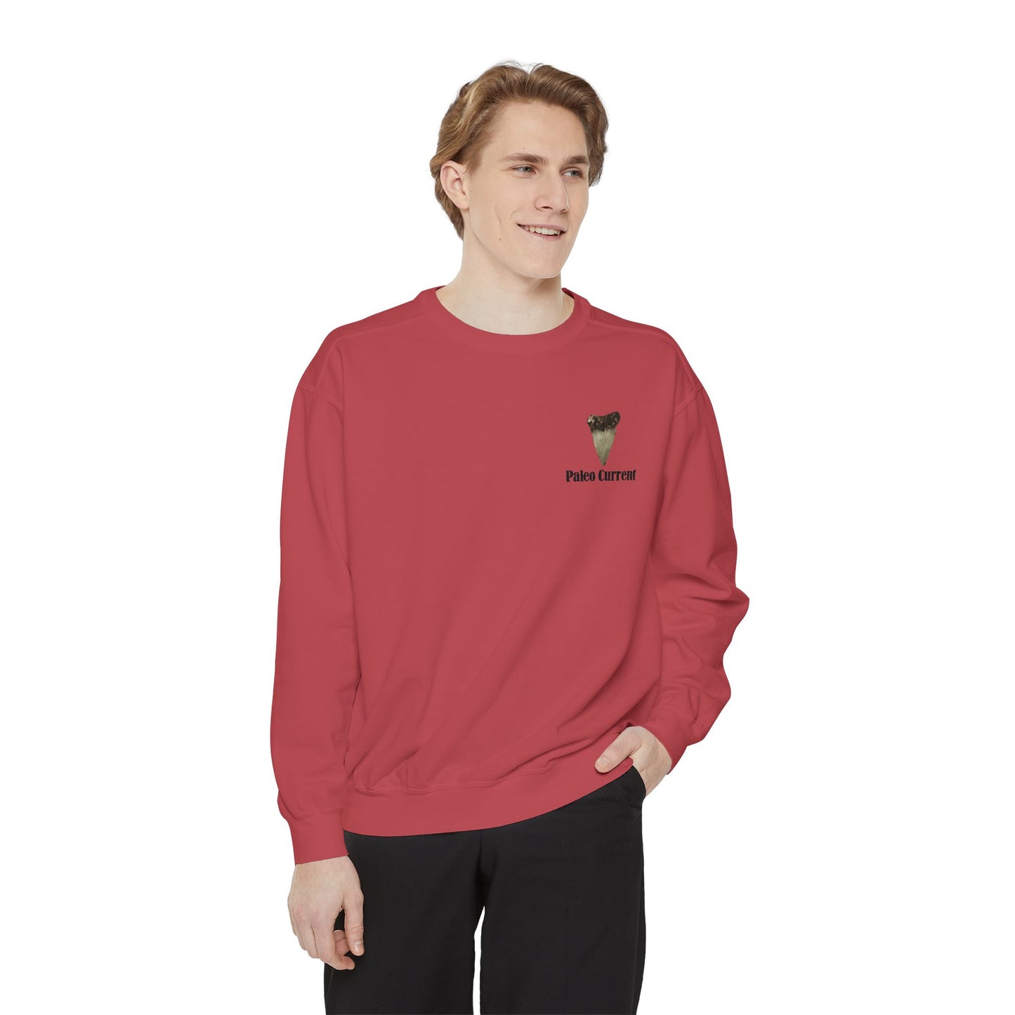 Georgia Comfort Colors Sweatshirt