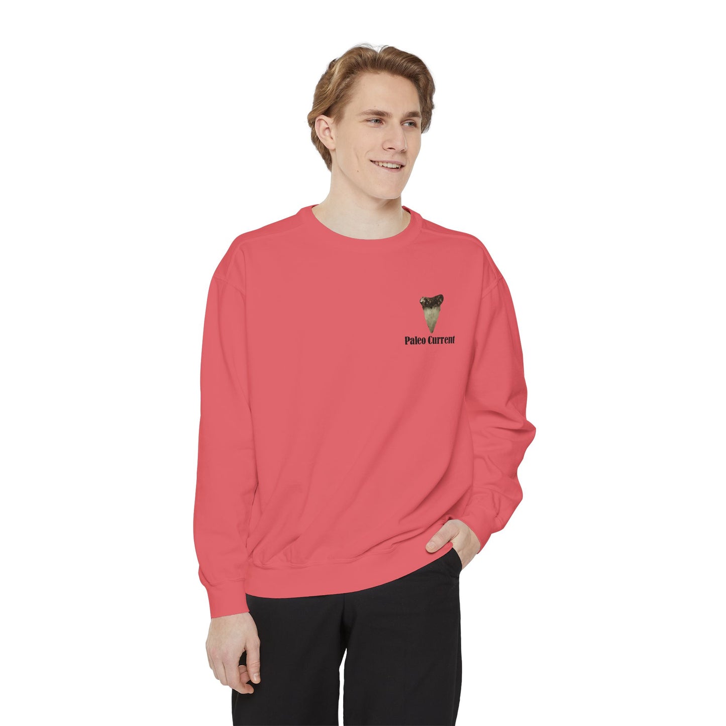 Georgia Comfort Colors Sweatshirt