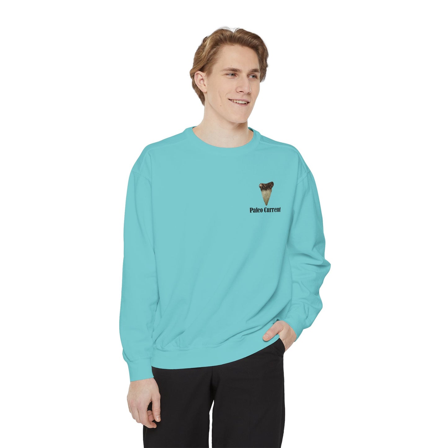 Georgia Comfort Colors Sweatshirt