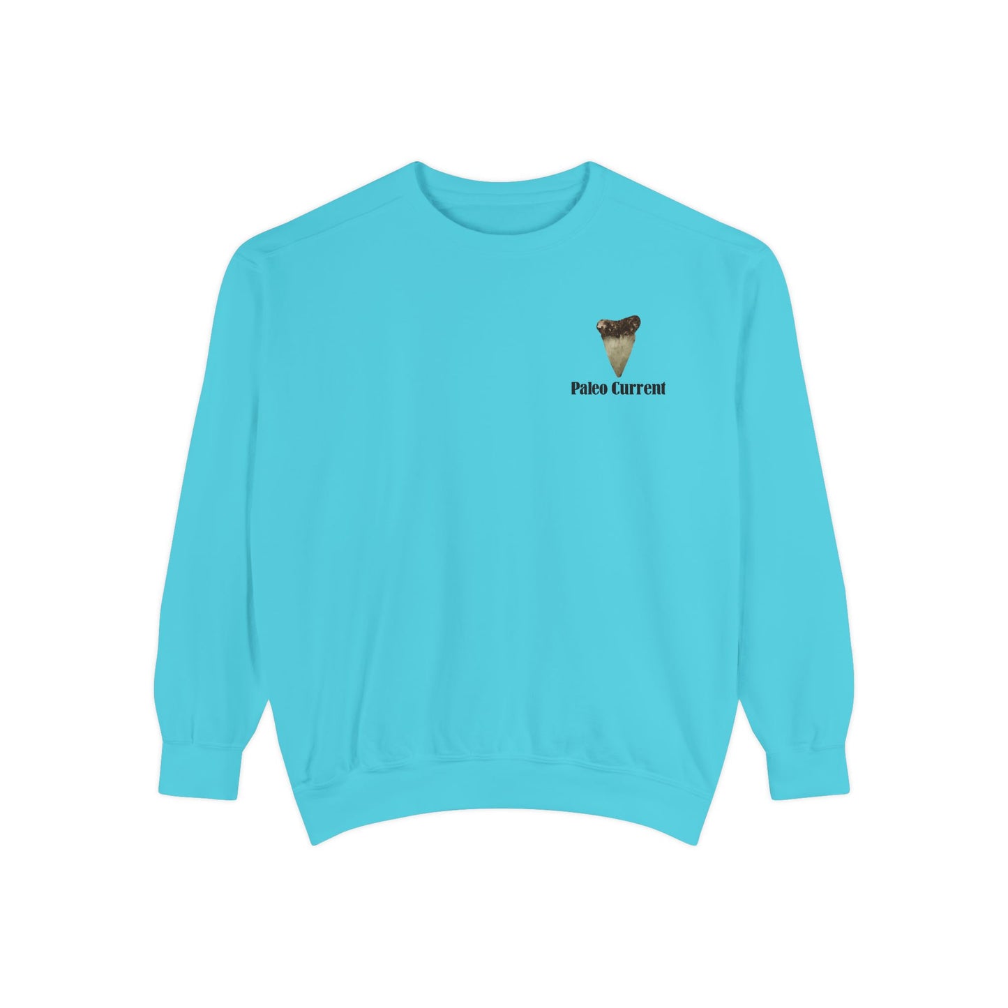 Georgia Comfort Colors Sweatshirt